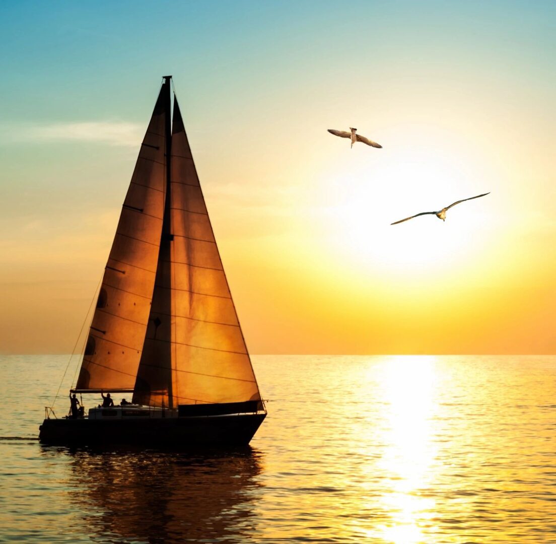 Sailboat at sunset with flying birds.