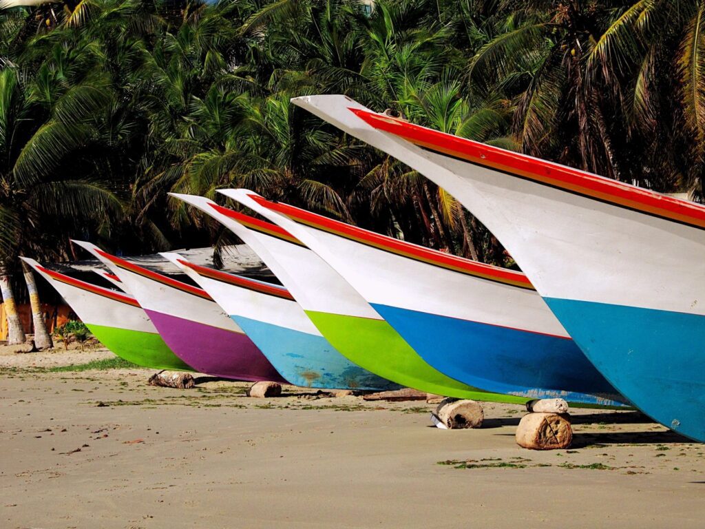 Colorful boats lined up on a sandy beach with greenery in the background.